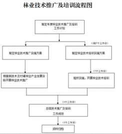 創(chuàng)新林業(yè)技術(shù)推廣培訓，助力林業(yè)現(xiàn)代化發(fā)展